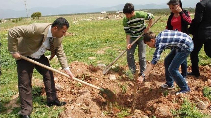 Didim'de Belediye Ve &Ouml;ğrencilerden Ortak Fidan Dikimi