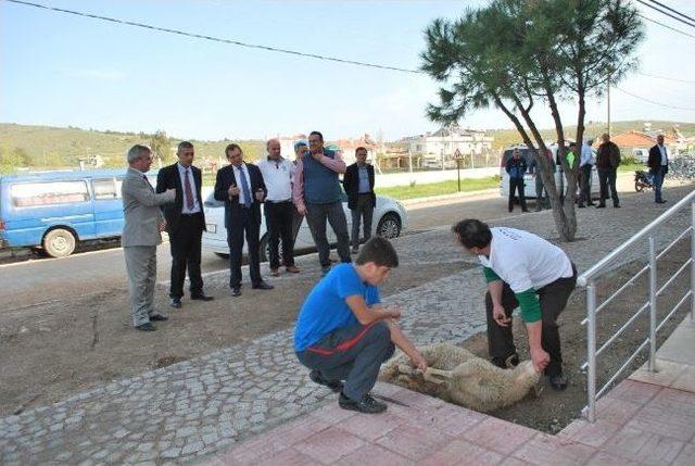 Küçükköy Belediyesi’nde Mesut Ergin Sevinci