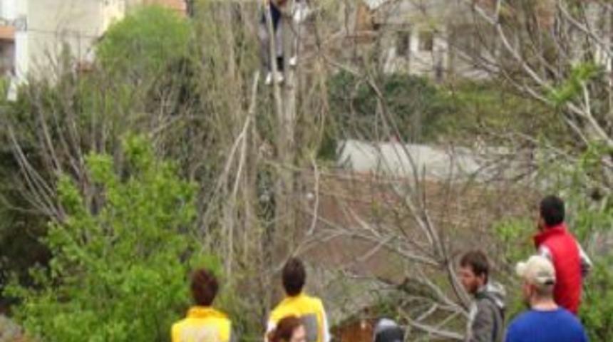 Budamak Için Çıktığı Ağaçta Mahsur Kaldı