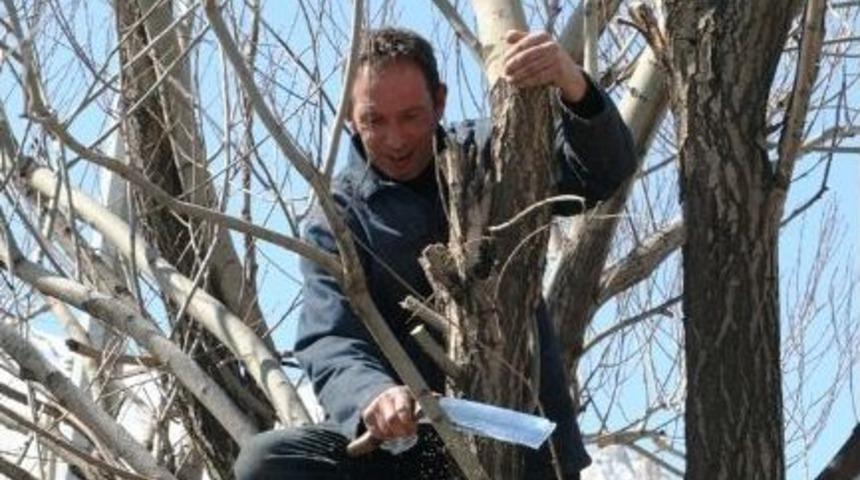 Gevaş&rsquo;ta Ağa&ccedil; Budama D&ouml;nemi