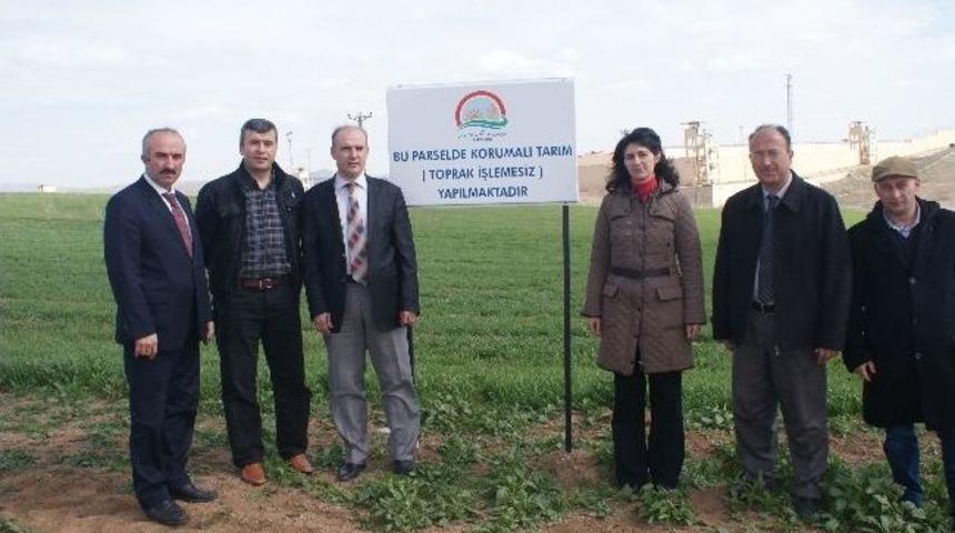 Kırıkkale'de Anıza Ekim Y&uuml;z G&uuml;ld&uuml;rd&uuml;