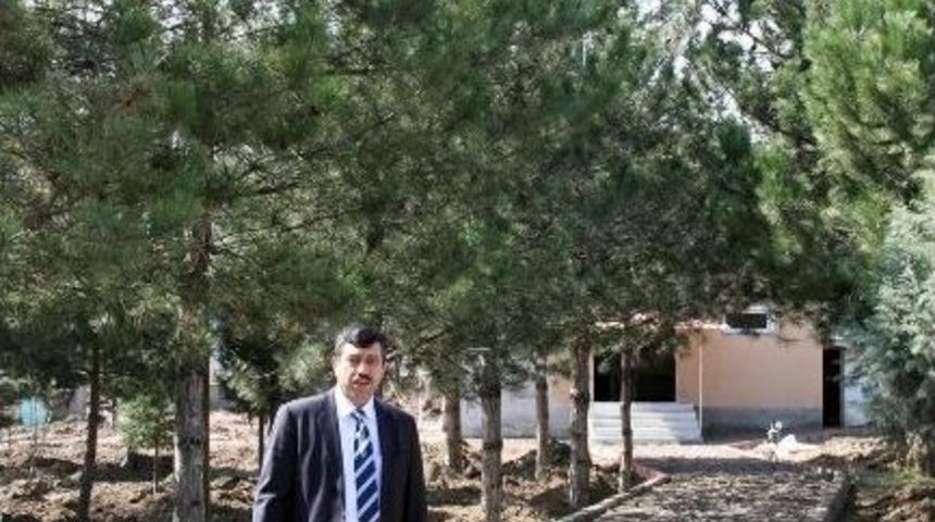 Osmancık'ta Cami Bah&ccedil;eleri Tabiat K&ouml;şesi Oluyor