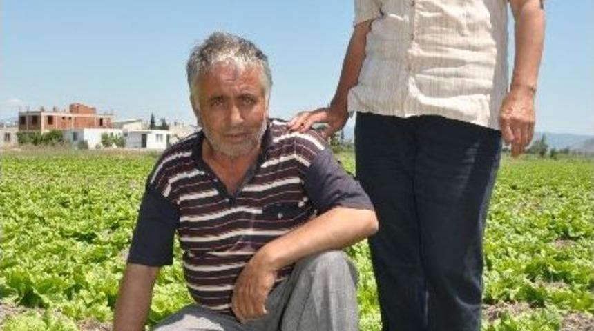 Trakt&ouml;r Kazası