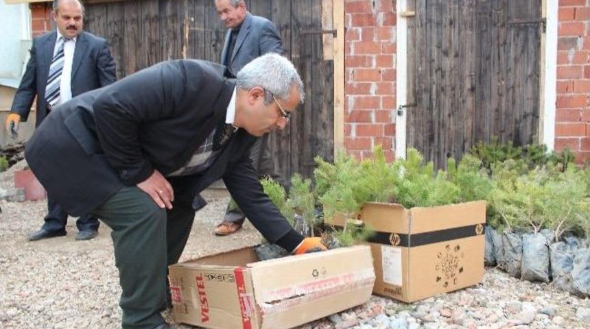 Şiran&rsquo;da 5 Bin 500 Fidan Dağıtıldı