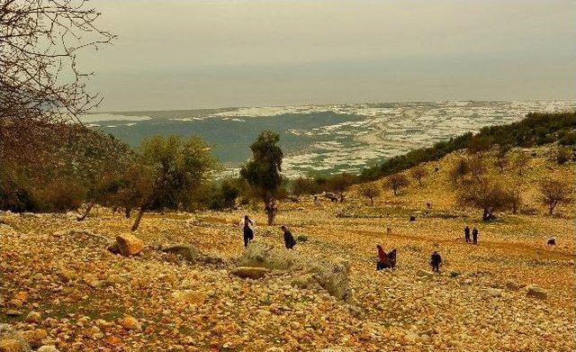 Demreli Fotoğraf Tutkunları Doğa Yürüyüşlerine Devam Ediyor