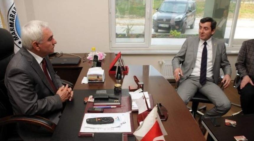 Zeytine Menşei Mecburiyeti Geliyor