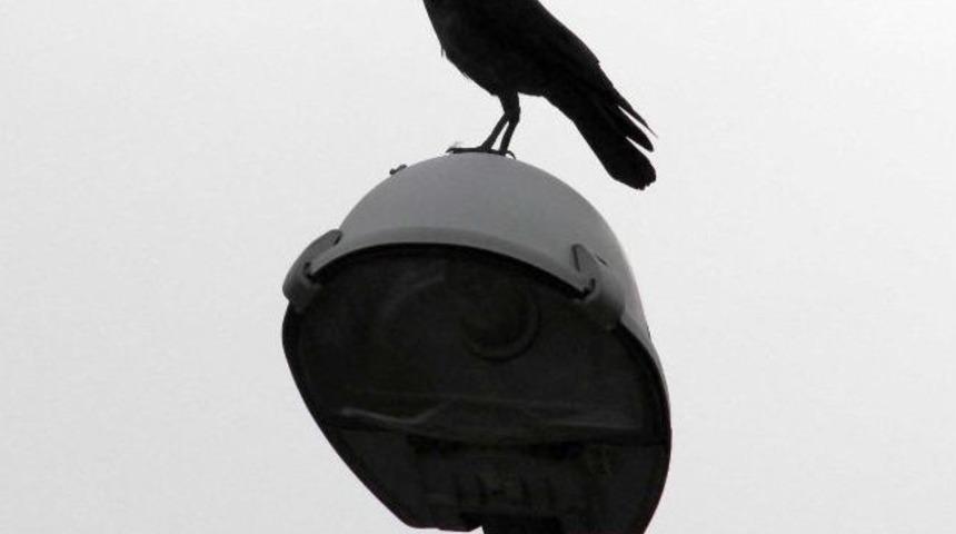 &Ccedil;evreci Karga