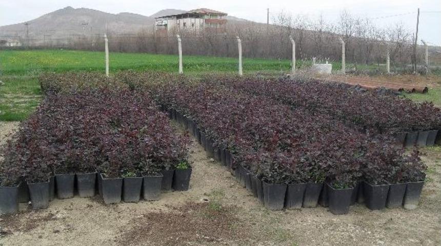 Kovancılar&rsquo;da &Uuml;styapı &Ccedil;alışmaları