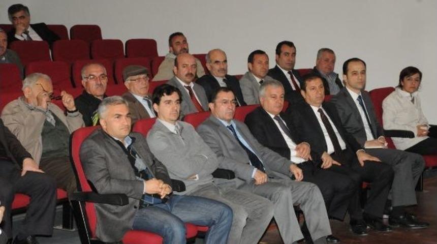 Orhangazi&rsquo;de Zeytinin Yerini Kivi Alıyor