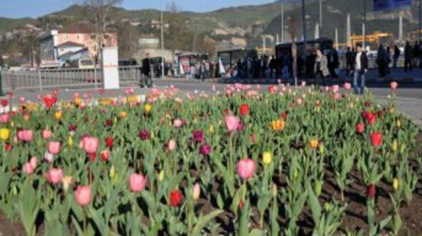Karab&uuml;k Belediyesi'nden 100 Bin &Ccedil;i&ccedil;ek