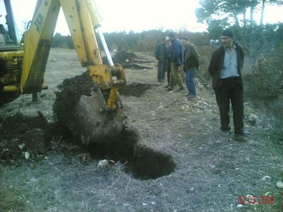 K&uuml;tahya'da 'organik Ceviz Vadisi' Projesi
