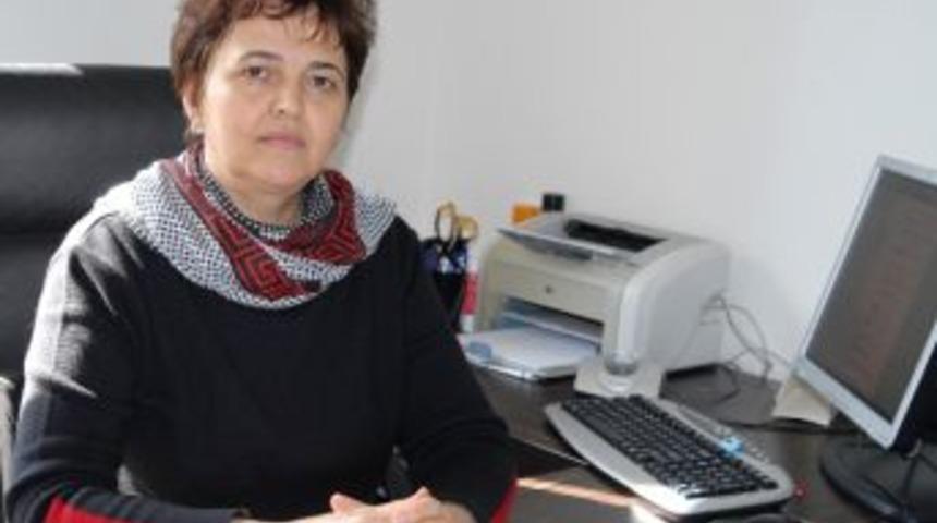 Antalyalıların Ortak Şikayeti &ldquo;sivrisinek&rdquo;