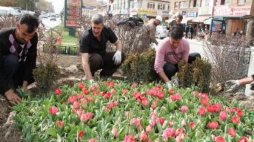 Erzincan&rsquo;da Ref&uuml;jler Ve Kavşaklar Renkleniyor