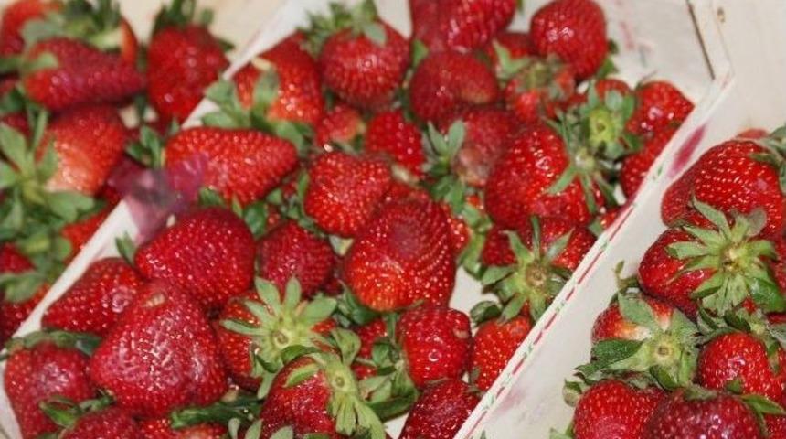 Ahlat&rsquo;ta &Ccedil;ilek Fiyatı Cep Yakıyor