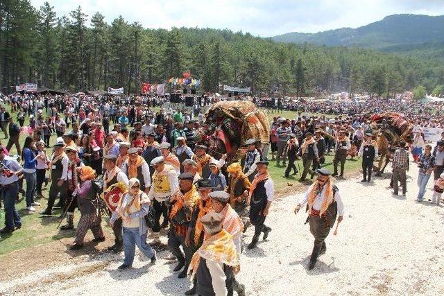 Muğla İl Özel İdaresi İle Orman Bölge Müdürlüğü Arasında Ceza Restleşmesi