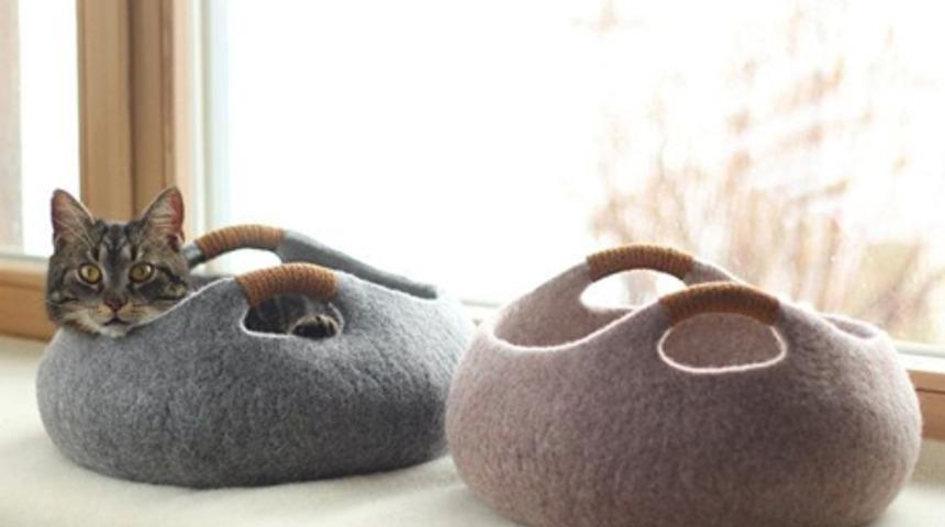 En şirin kedi yatakları