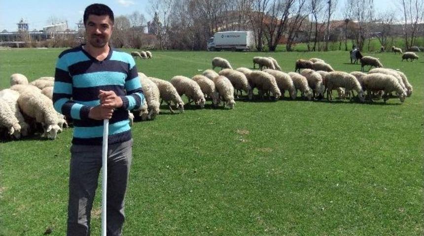 K&uuml;tahya'da 's&uuml;t İhracatı' Sevinci