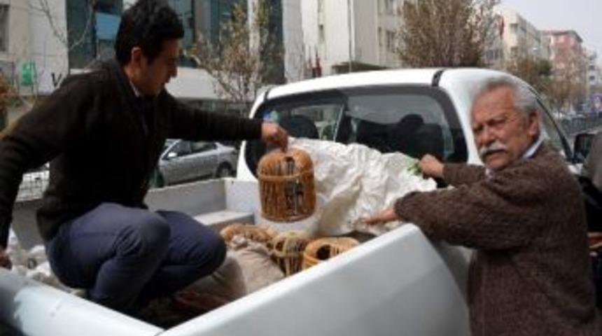 Ka&ccedil;ak Avda Yakalanan Keklikler Doğaya Salındı