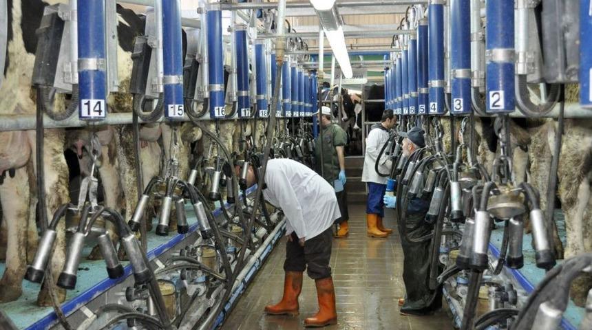 AB'ye S&uuml;t &Uuml;r&uuml;nleri Ihracatı Kararı Balıkesirli &Uuml;reticileri Memnun Etti