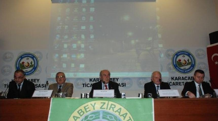 Domates Ekimi Kısıtlanacak