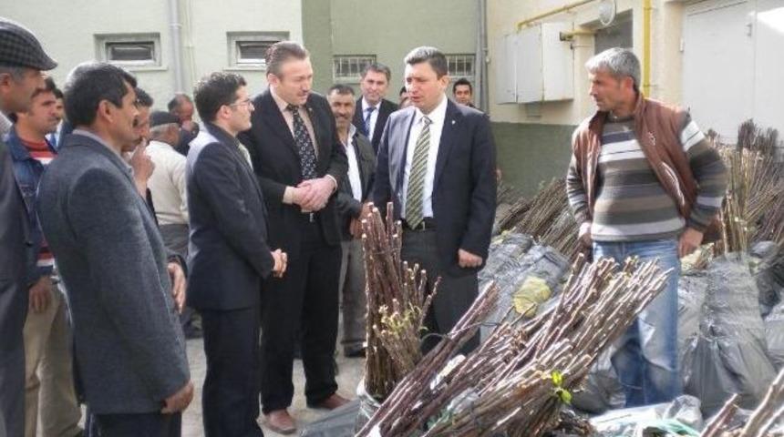 Sungurlu&rsquo;da Fidan Dağıtım T&ouml;reni