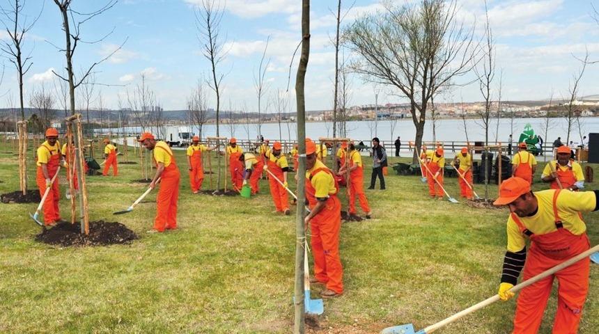 Ankara&rsquo;ya Bu Yıl 150 Bin Ağa&ccedil; Dikiliyor