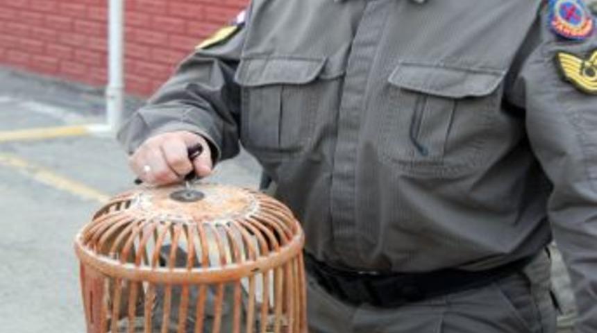 Jandarmadan Keklik Operasyonu