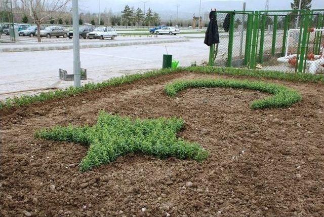 Gediz Adnan Menderes Yaşam Parkı'ndaki Amfi Tiyatro Yenileniyor