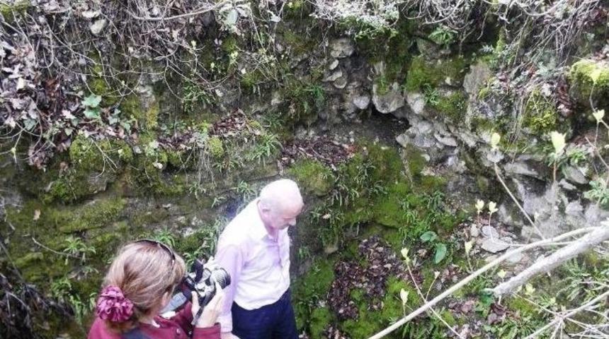 Şark&ouml;y Sit Alanında İnceleme Yapıldı