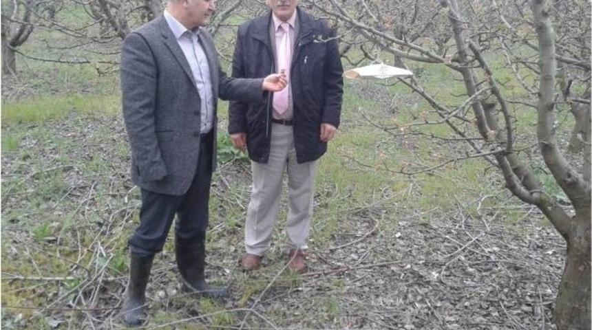 2013 Yılı "tahmin Ve Erken Uyarı" &Ccedil;alışmaları Başladı