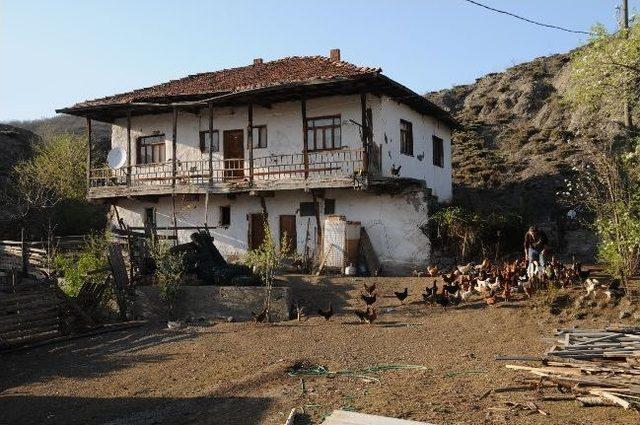 Bodrum’dan Tavukları İle Tokat’a Geldi