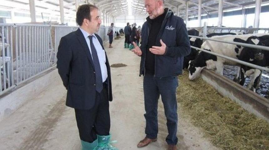 S&uuml;t İşleme Tesisinde İnceleme