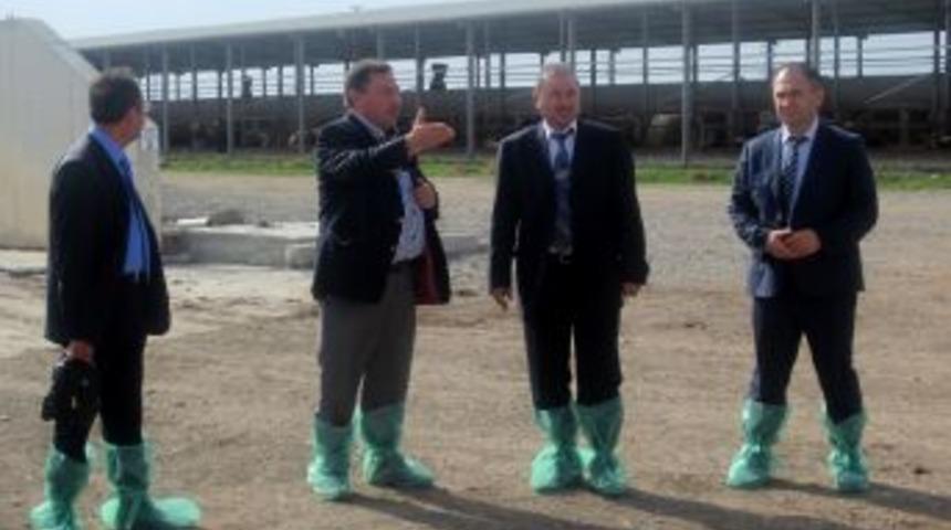 Sincan Anayurt B&ouml;lgesinde Hayvancılık B&ouml;lgesi Kuruluyor