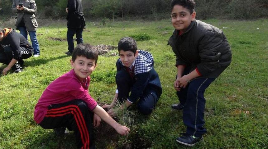 Minik Eller, Fidan Dikti