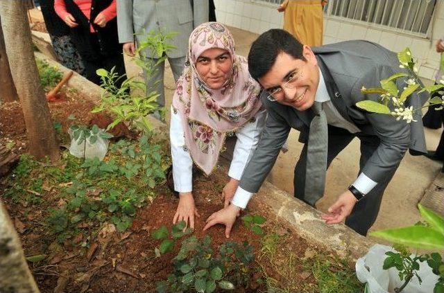 Başkan Tütüncü “kutlu Doğum Haftası” Anısına Gül Dikti