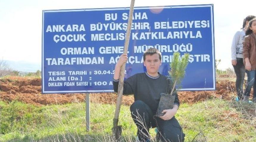 &Ccedil;ocukların Ormanı B&uuml;y&uuml;yor