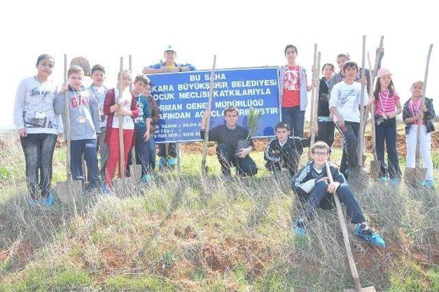 Çocukların Ormanı Büyüyor