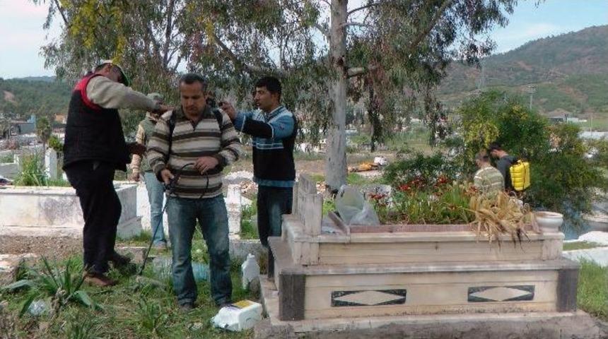 Fethiye'de Mezarlıklarda Temizlik &Ccedil;alışmaları Devam Ediyor