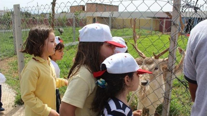 Anasınıfı &Ouml;ğrencilerinden &Ccedil;iftlik Gezisi