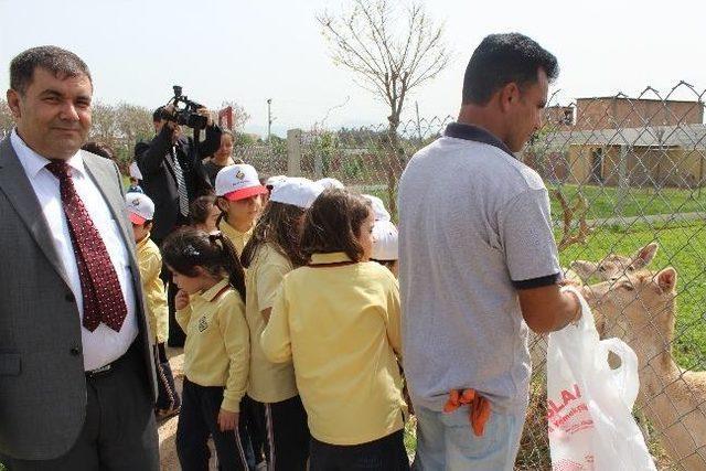 Anasınıfı Öğrencilerinden Çiftlik Gezisi