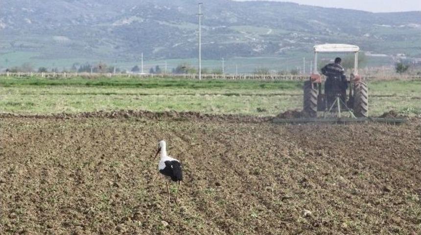 Saruhanlı&rsquo;ya Yılın İlk Leyleği Geldi