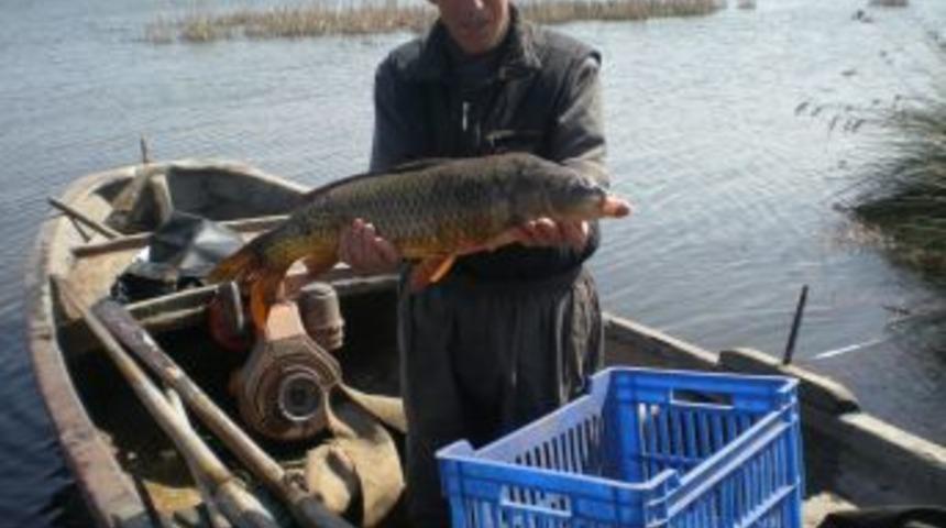 Komşularına Küsen Çift, 38 Yıldır Tek Başlarına 'Ada'da Yaşıyor