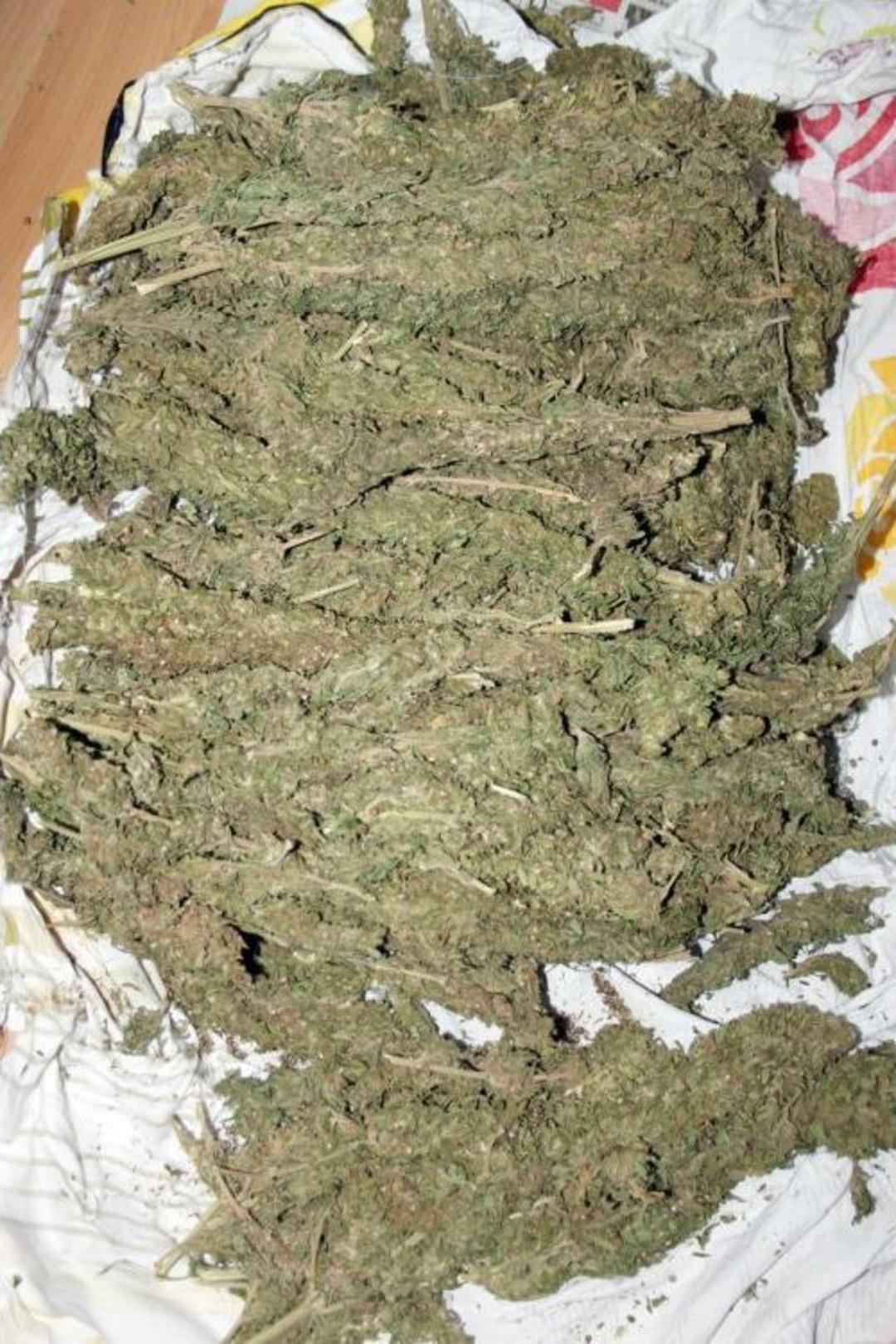 Engelli Vatandaş, Uyuşturucu Taciri &Ccedil;ıktı