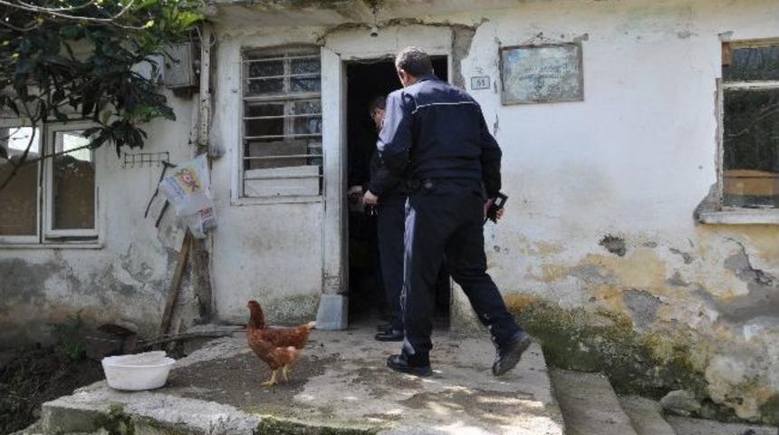 Bafra&rsquo;da Horoz Hırsızlığı