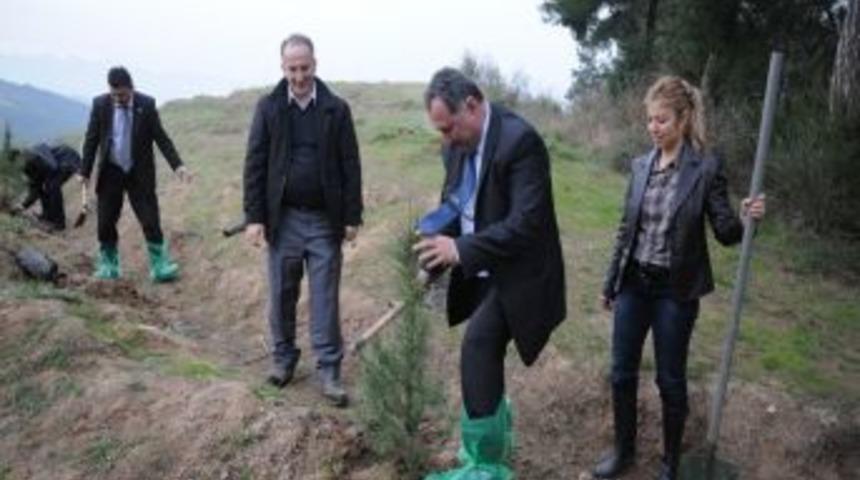 Rekt&ouml;r Ve &Ouml;ğrenciler Fidan Dikti