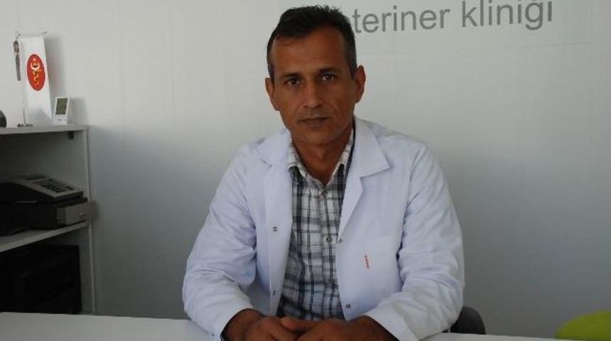 Veteriner Hekimler Odası Didim Temsilcisi Toygun Ak Oldu