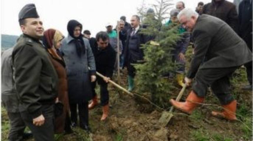 Şehitler İ&ccedil;in Hatıra Ormanı