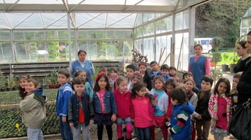 Anaokulu &Ouml;ğrencileri Kurşunlu Serası&rsquo;nda