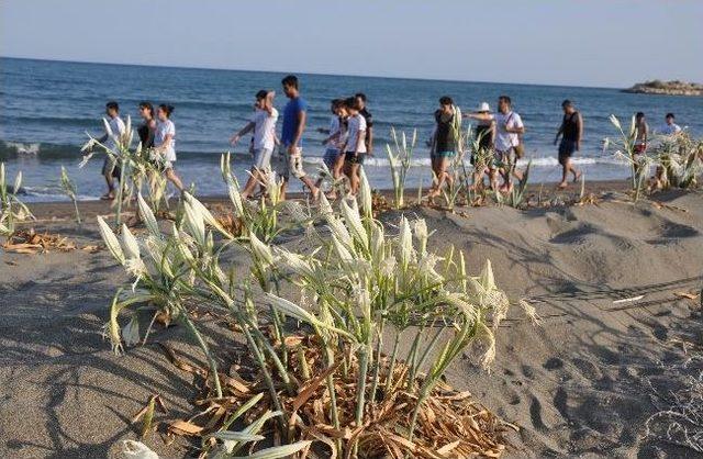 Odtü’den Çocuklara Uygulamalı Deniz Bilimleri Eğitimi