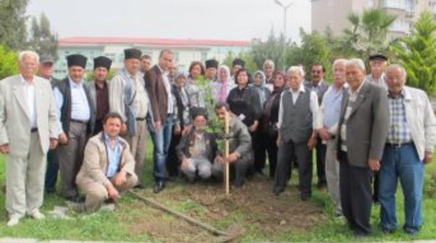 Kuvayi Milliyeciler, Huzurevinde Yaşlılarla Birlikte &Ccedil;ınar Ağacı Dikti